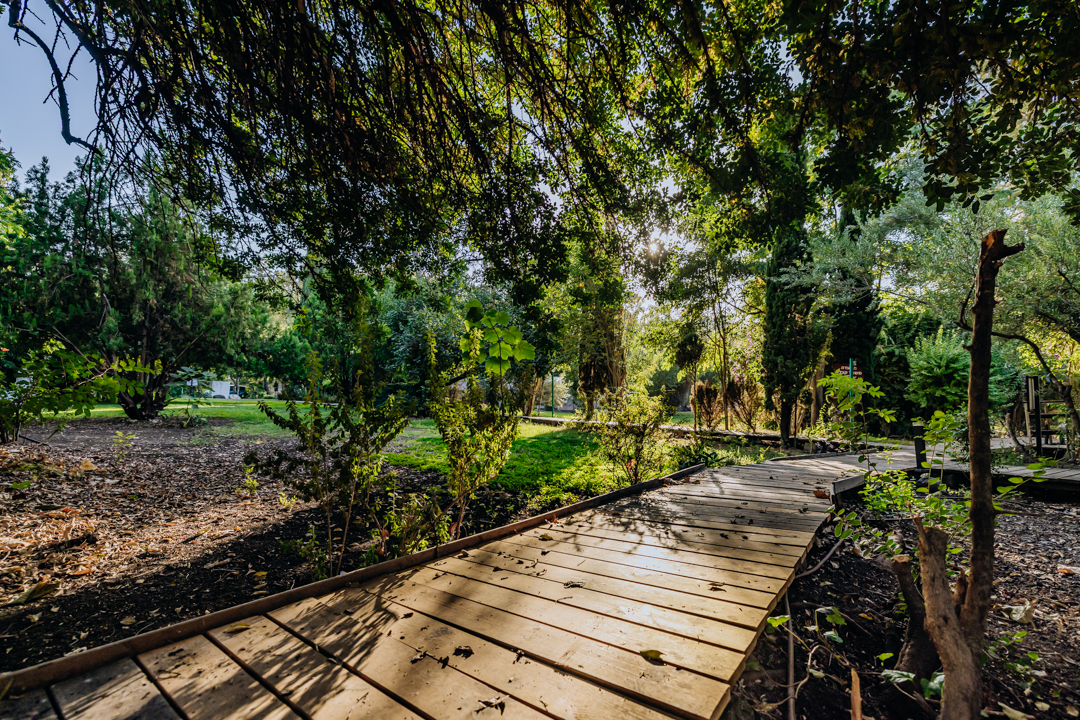 AdrianbyISOGroup(107of152)