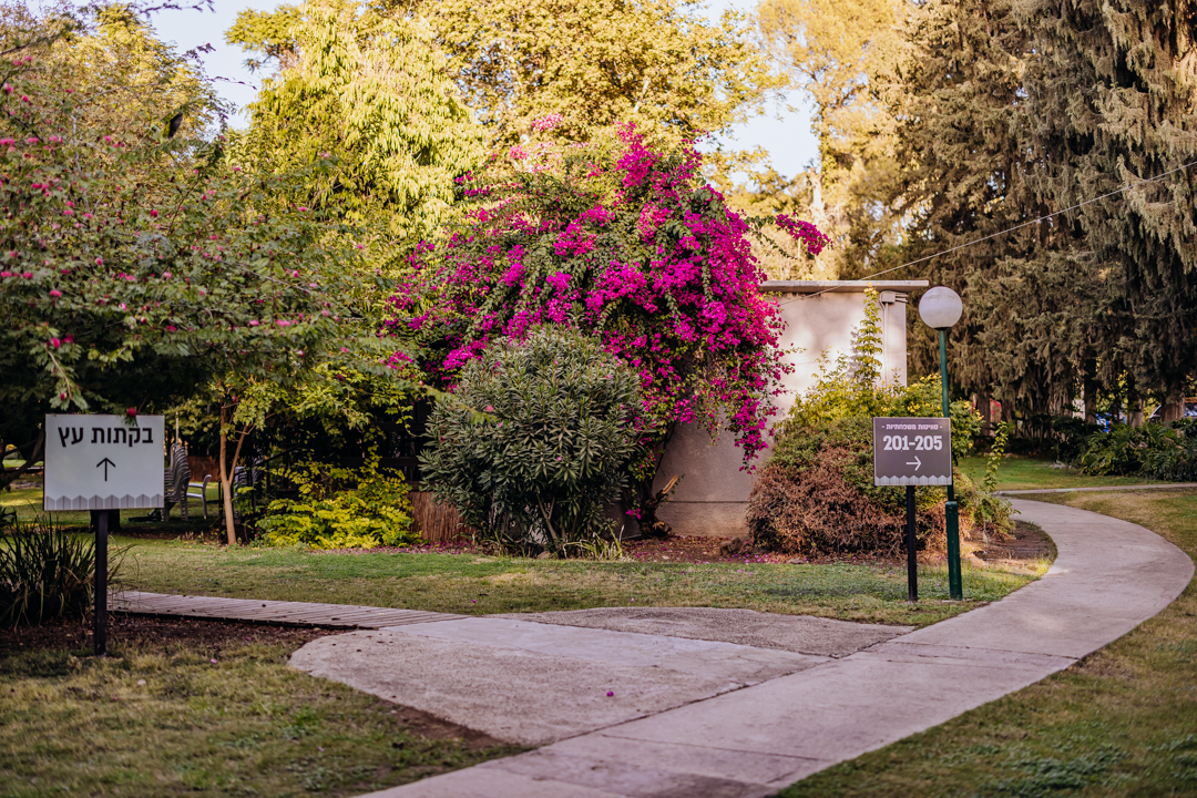 AdrianbyISOGroup(151of152)