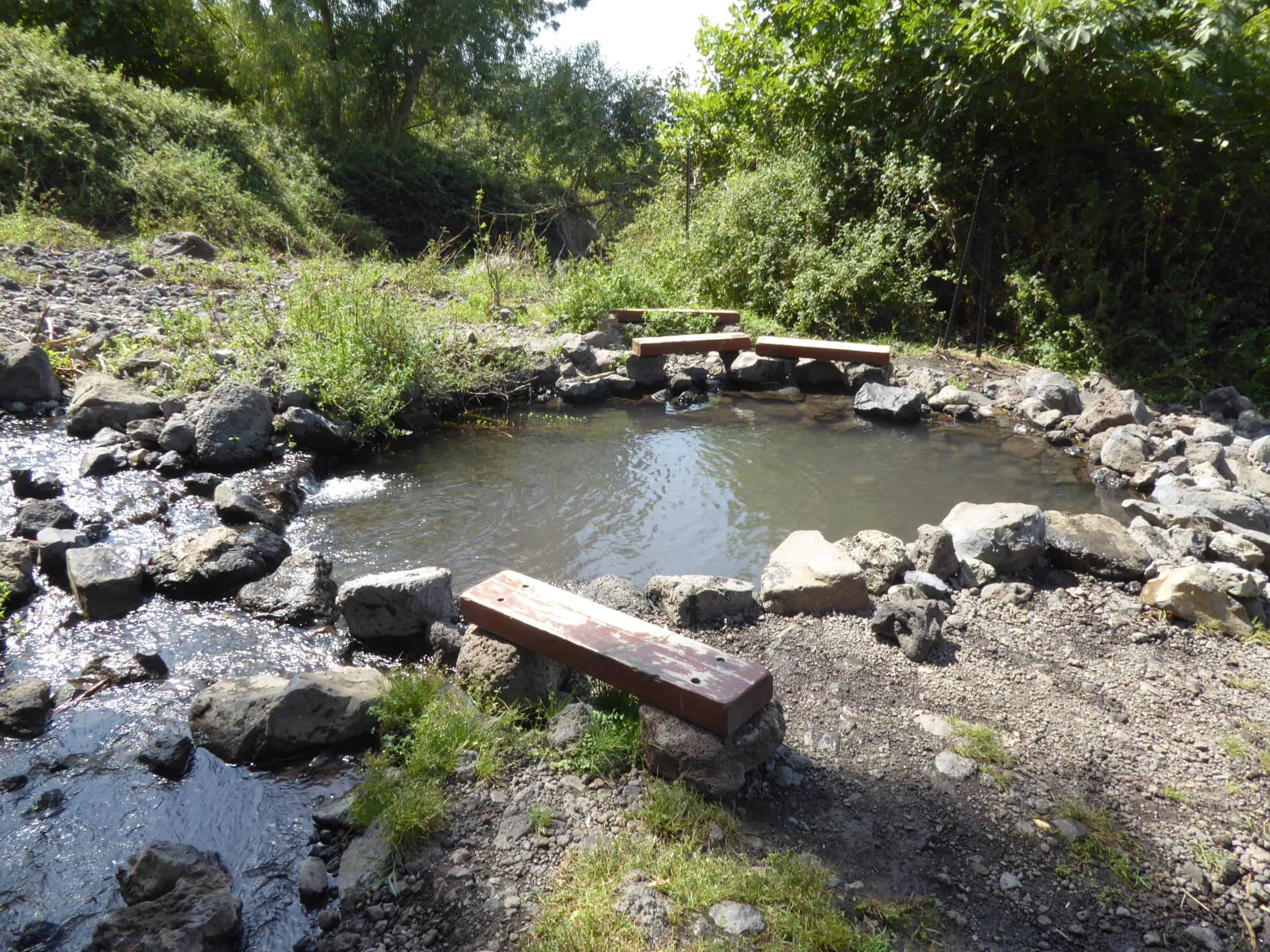 עיינות מימון