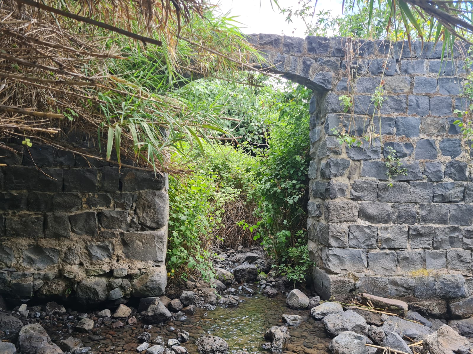 עין דיבשה – דרבשייה