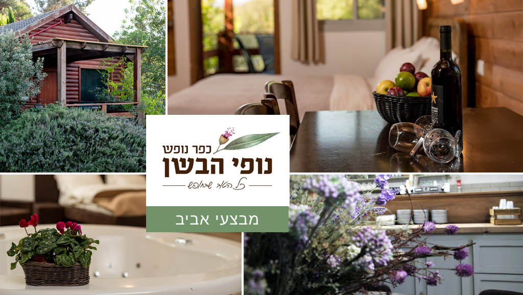 מבצע אביב גלילי