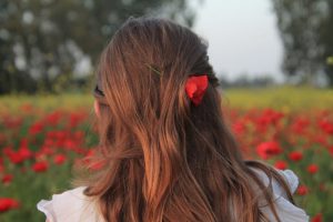 פריחת הפרגים