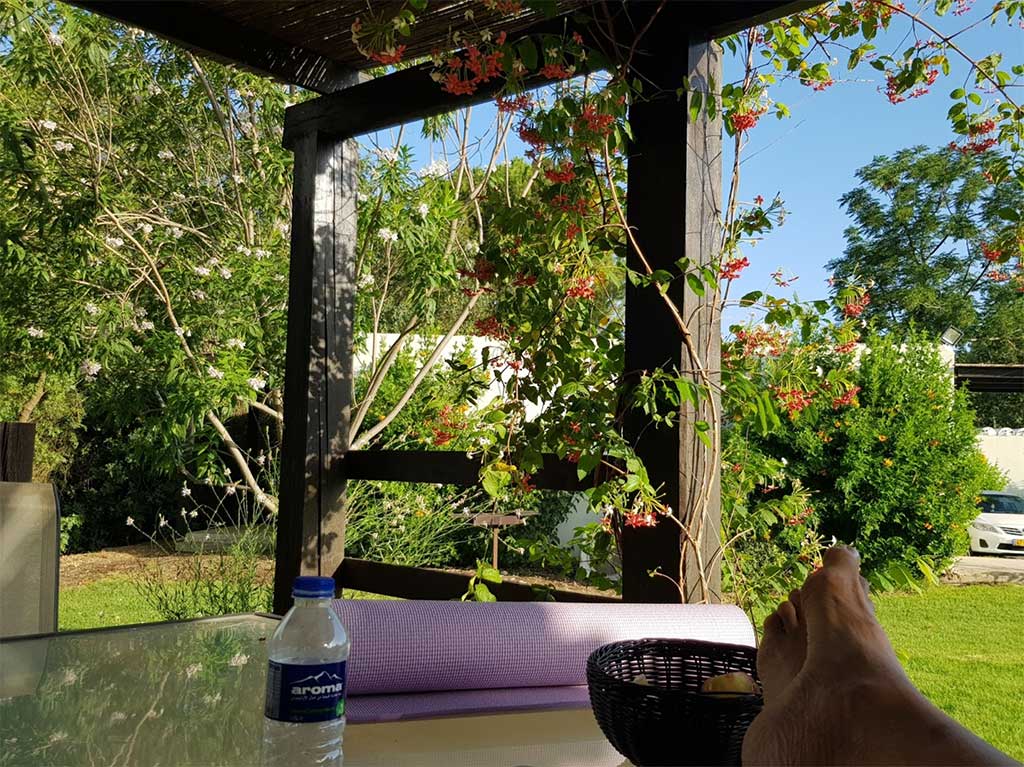 המלצה בבלוג של רות ברונשטיין