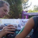 פעילויות קיץ