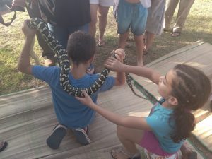 פעילויות קיץ