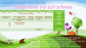 תכניית קיץ