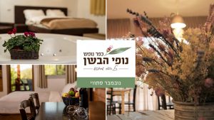נובמבר סתווי